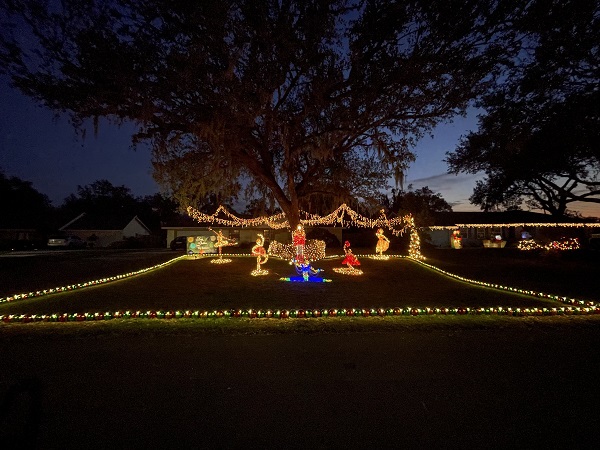 Christmas Light Sculptures